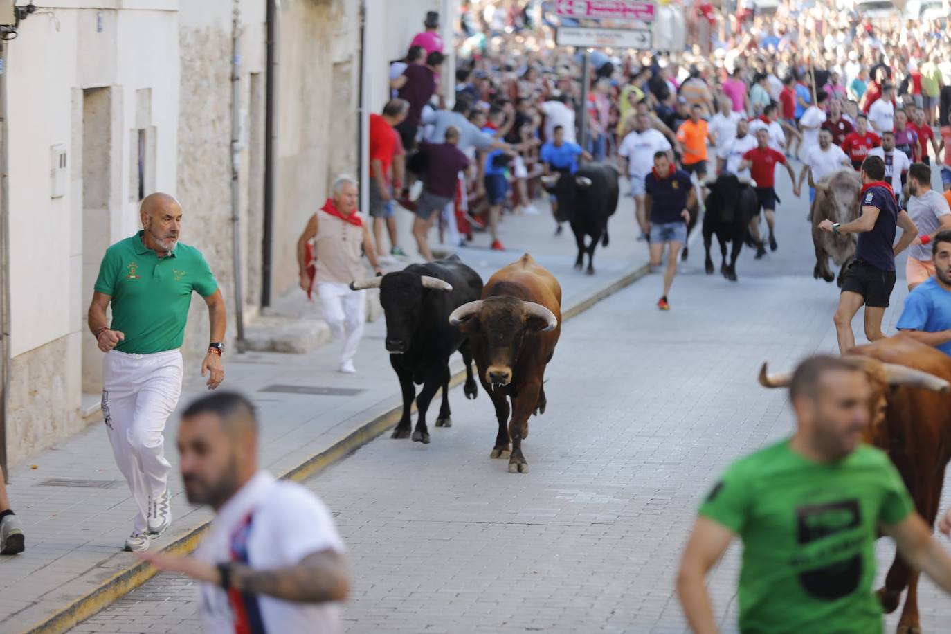 Fotos: El primer encierro de las fiestas de Peñafiel, en imágenes