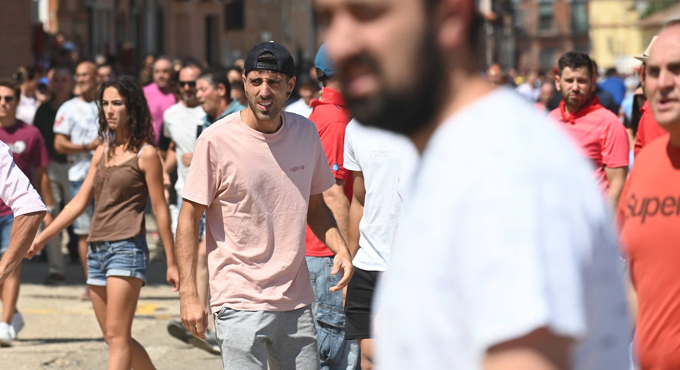 Fotos: El toro del verdejo protagoniza el tercer encierro de las fiestas de Rueda
