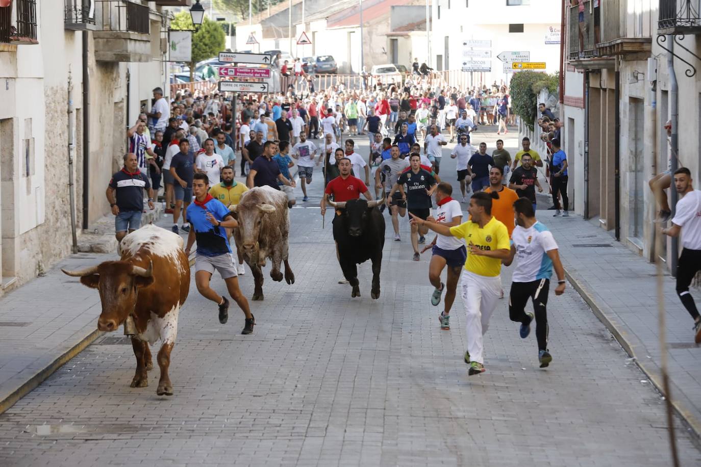 Fotos: Segundo encierro de las fiestas de Peñafiel