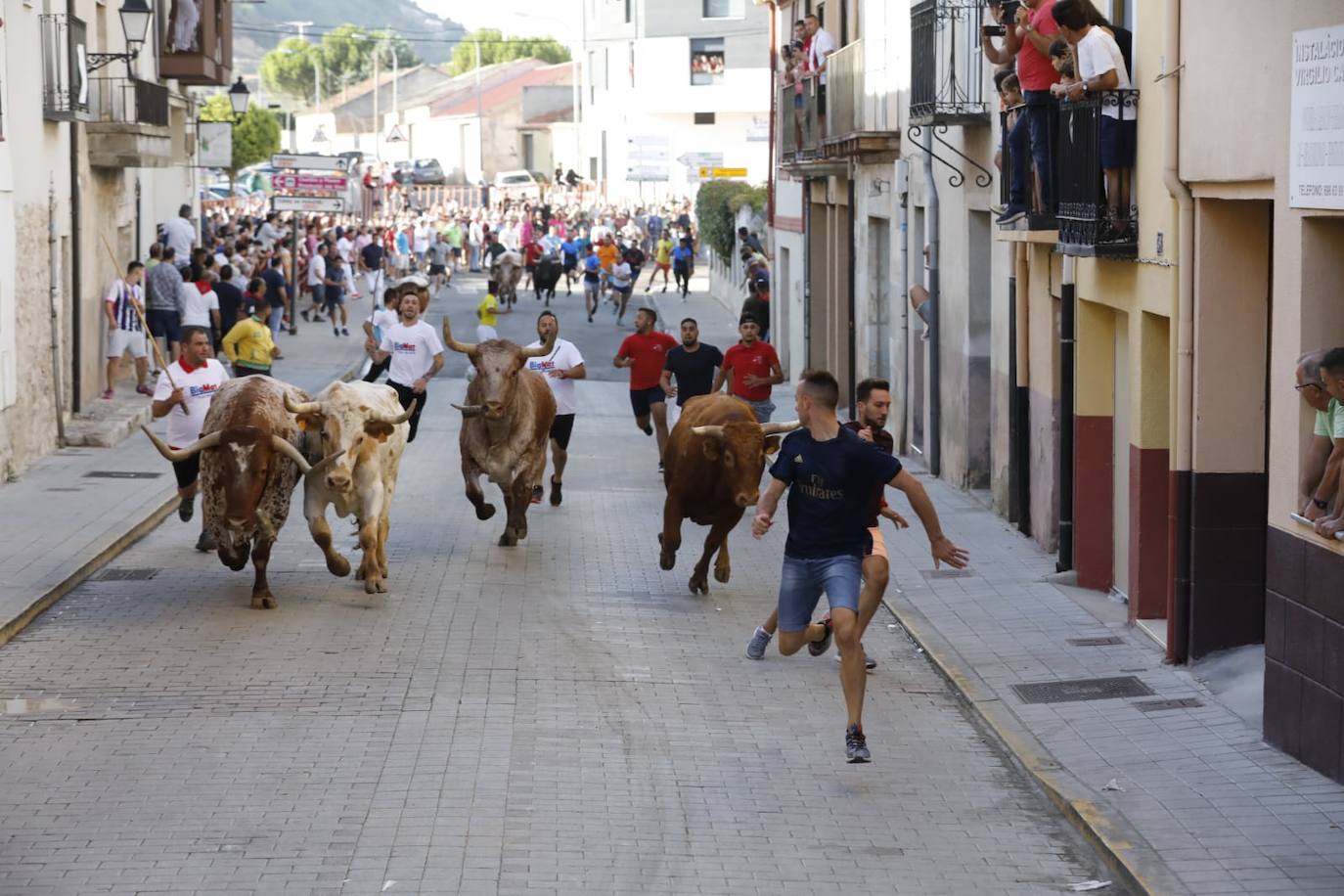 Fotos: Segundo encierro de las fiestas de Peñafiel