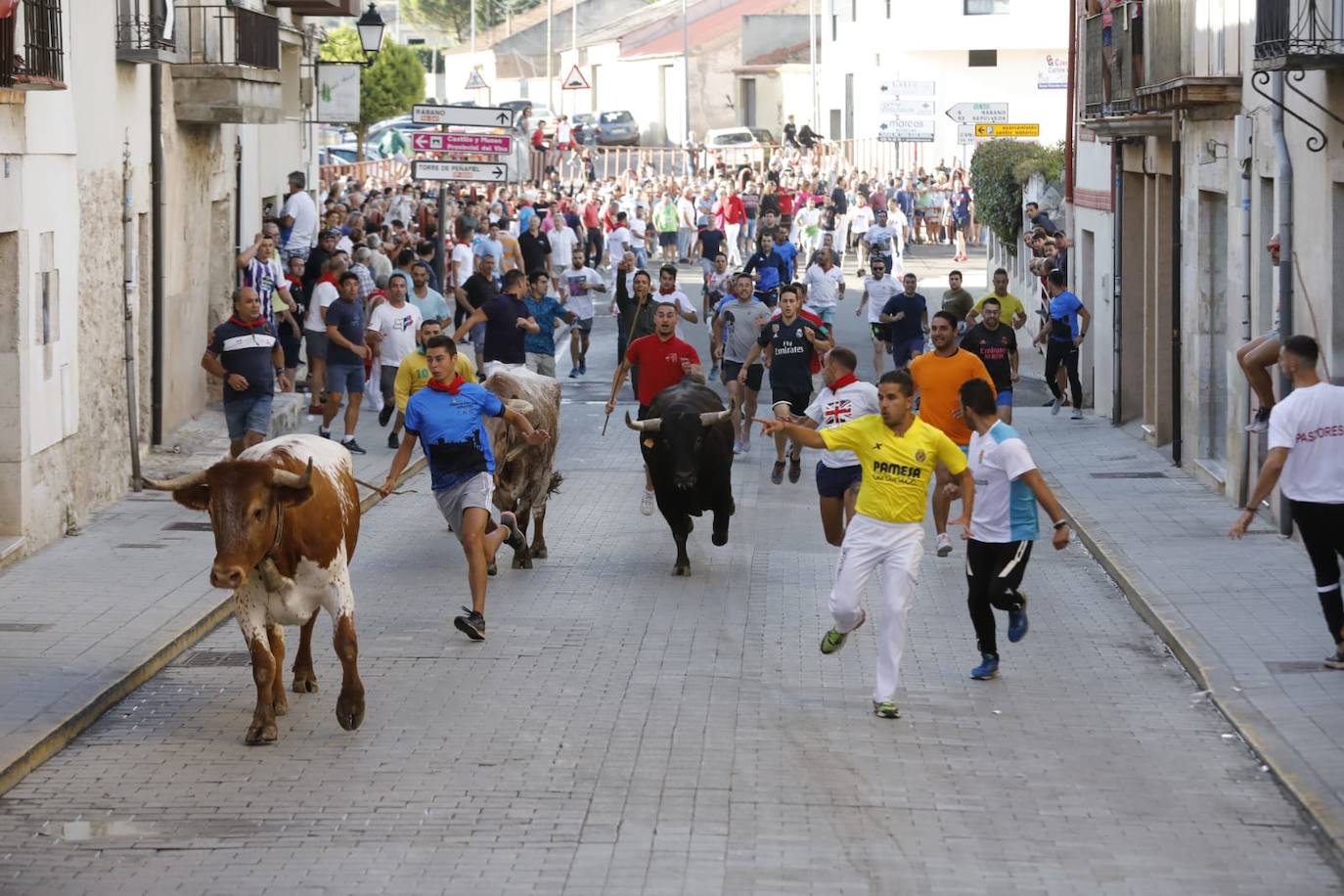 Fotos: Segundo encierro de las fiestas de Peñafiel