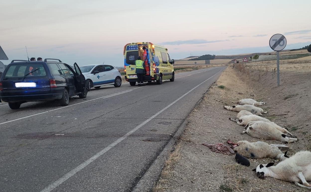 Los servicios de emergencias atienden al hombre que ha colisionado contra un rebaño de ovejas