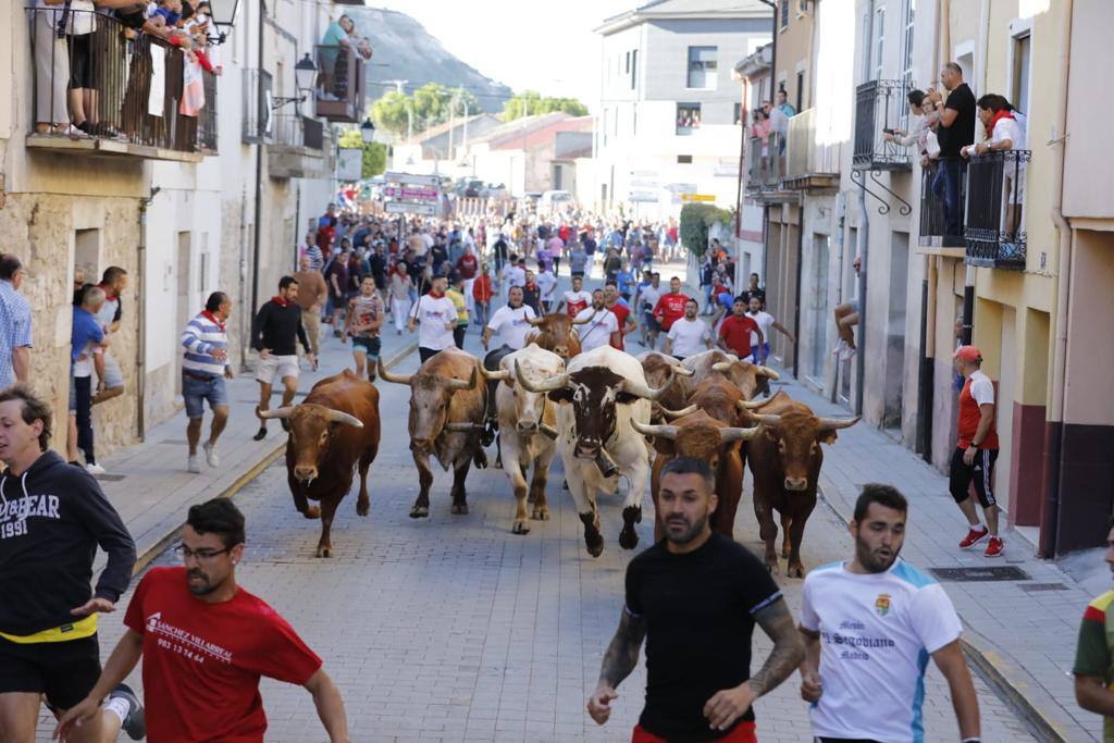 Fotos: El tercer encierro de las fiestas de Peñafiel, en imágenes