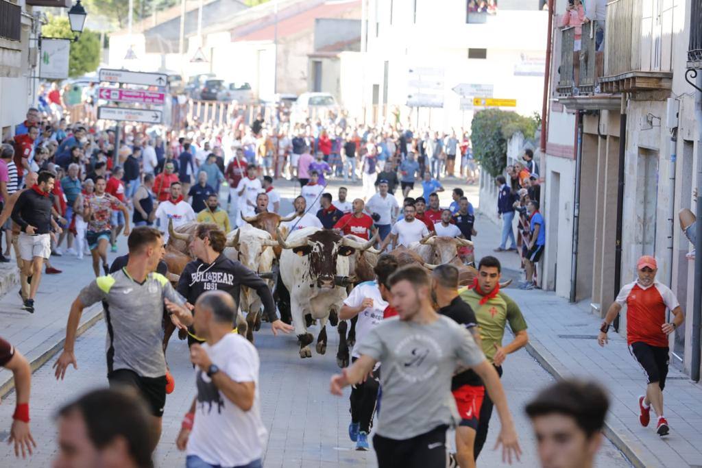 Fotos: El tercer encierro de las fiestas de Peñafiel, en imágenes