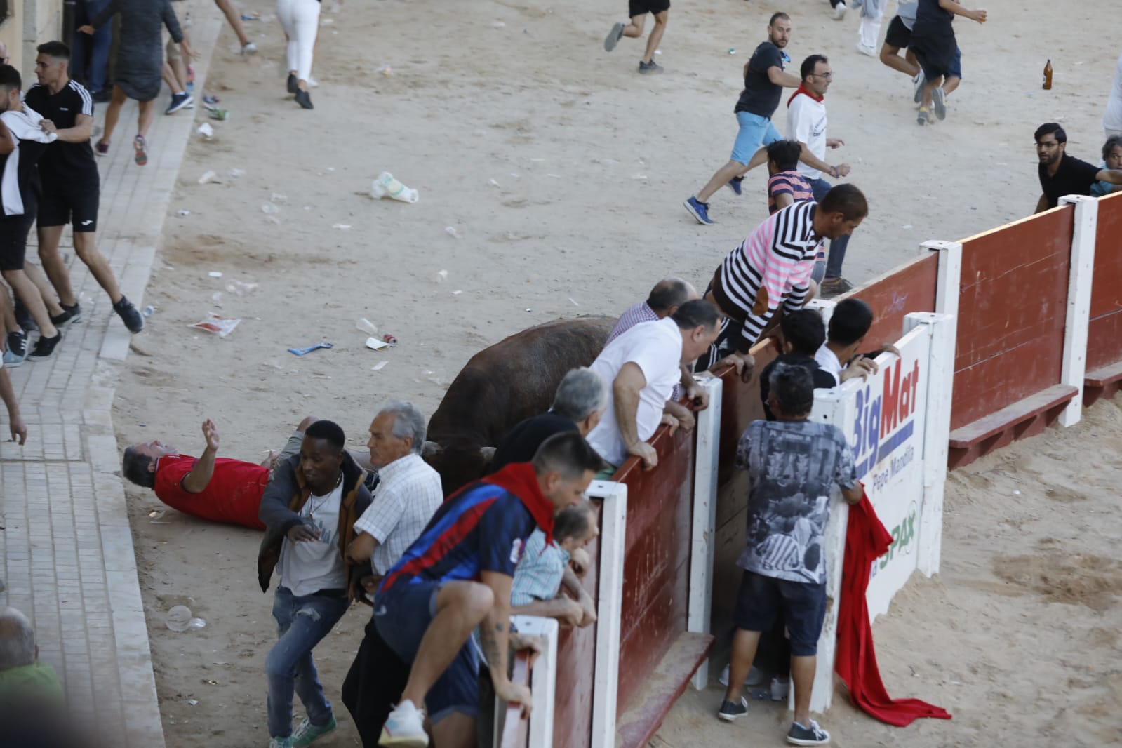 Fotos: La secuencia de imágenes del toro que ha embestido a un hombre en Peñafiel