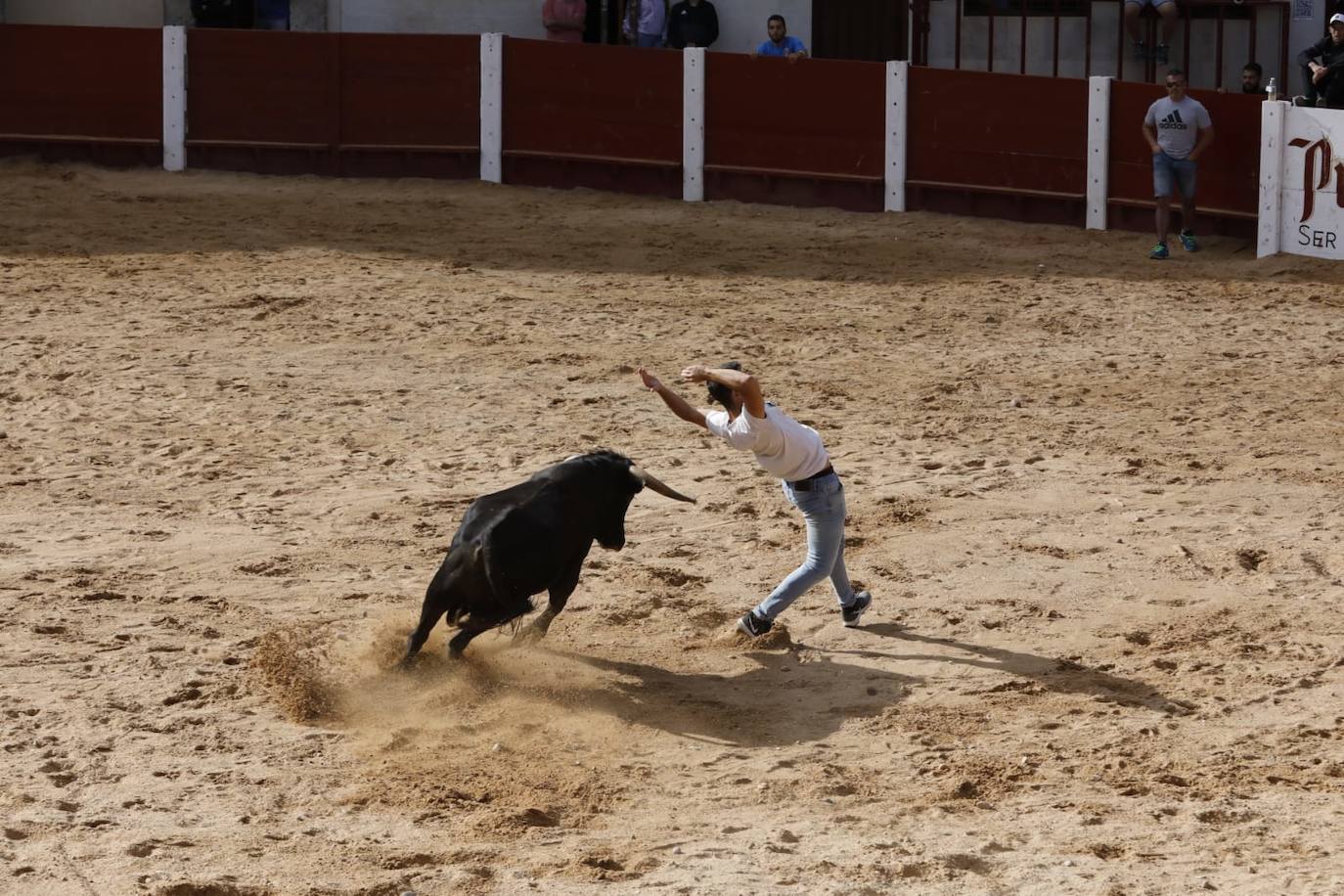 Fotos: Cuarto y último encierro de las fiestas de Peñafiel