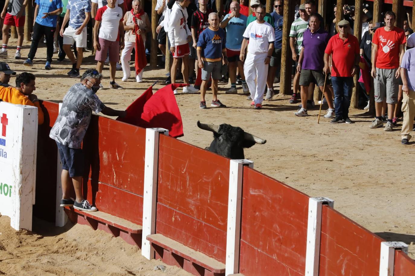 Fotos: Cuarto y último encierro de las fiestas de Peñafiel