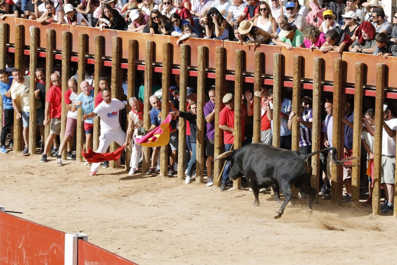 Fotos: Cuarto y último encierro de las fiestas de Peñafiel