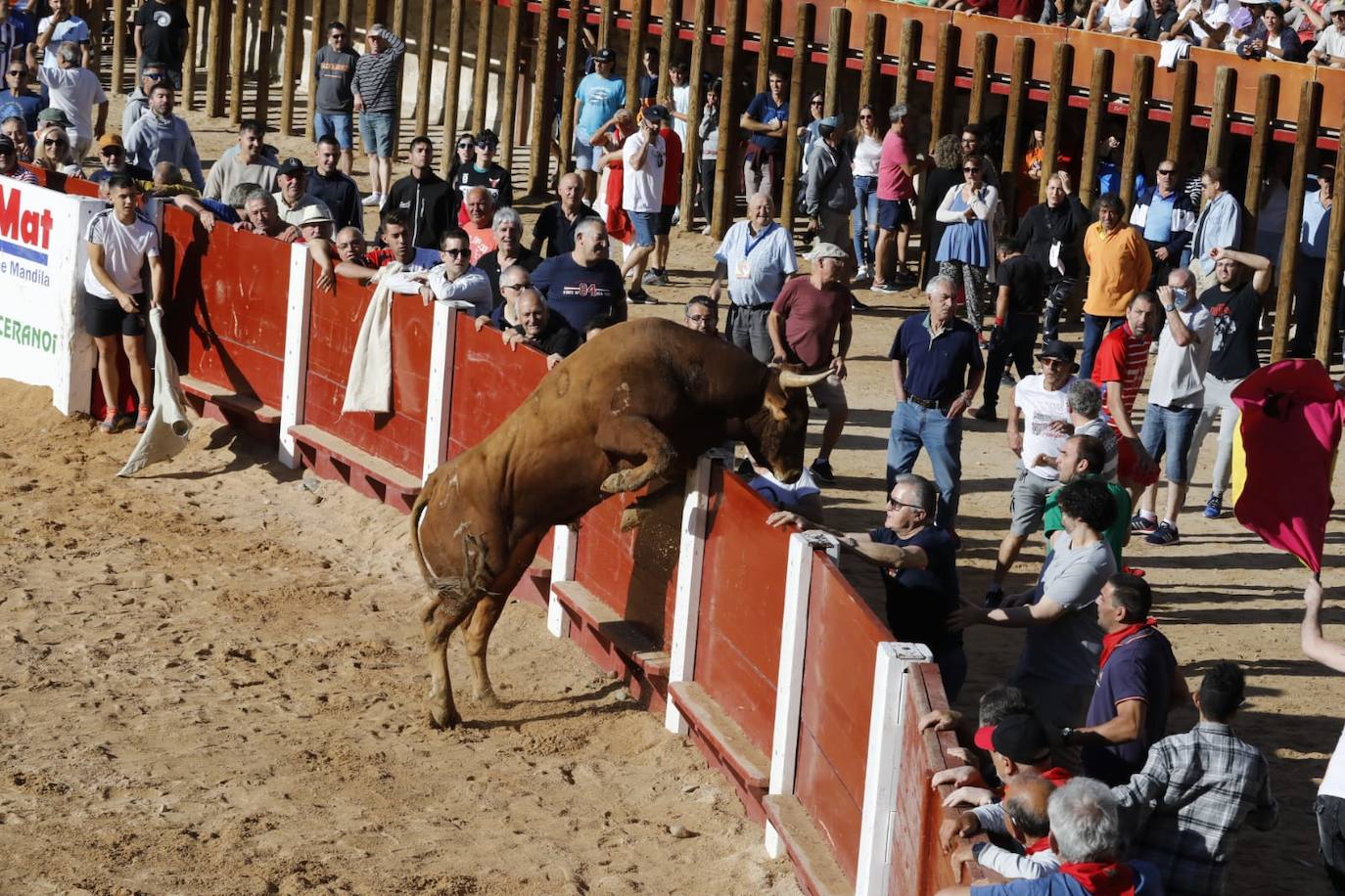 Fotos: Cuarto y último encierro de las fiestas de Peñafiel