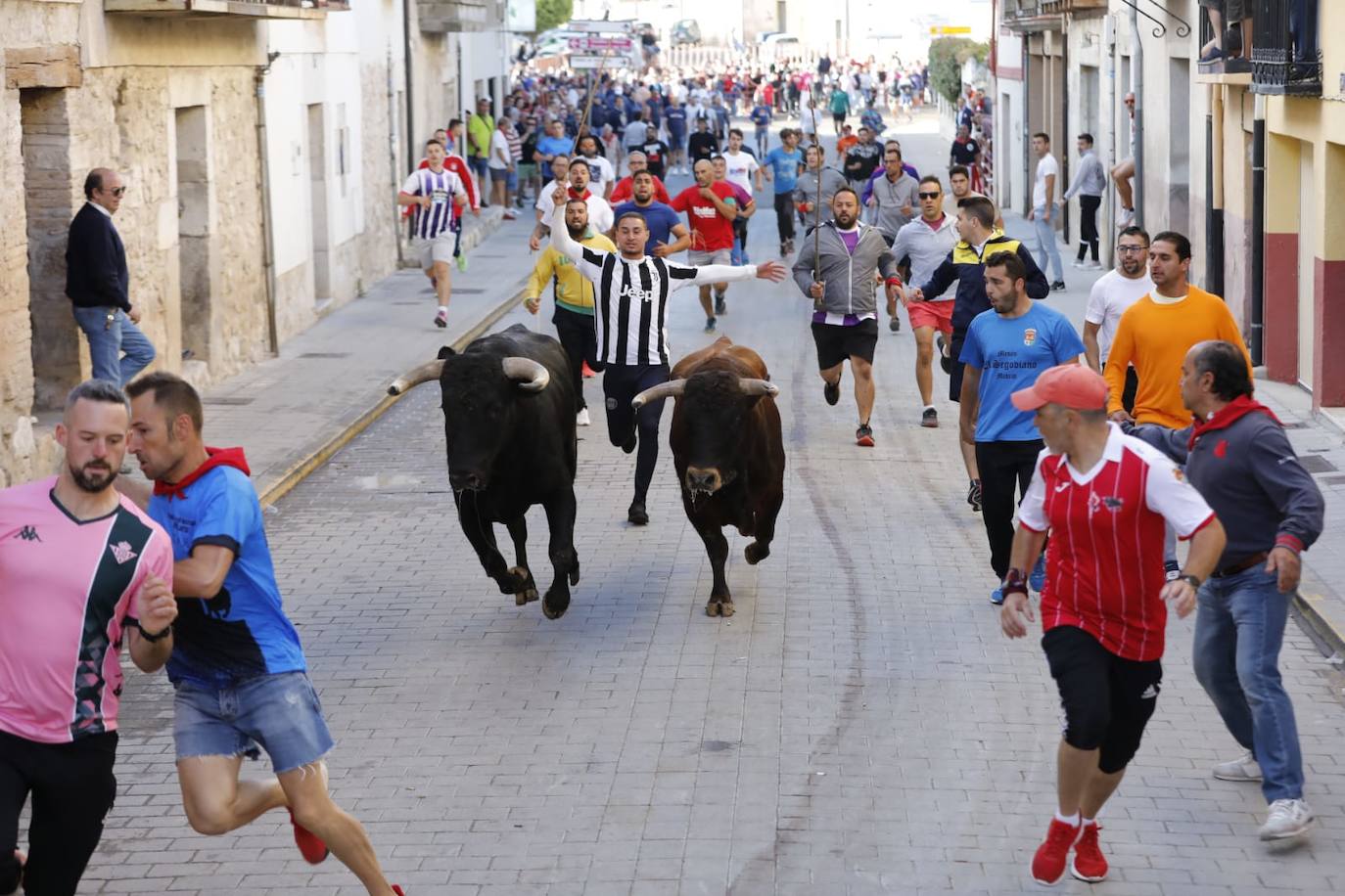 Fotos: Cuarto y último encierro de las fiestas de Peñafiel