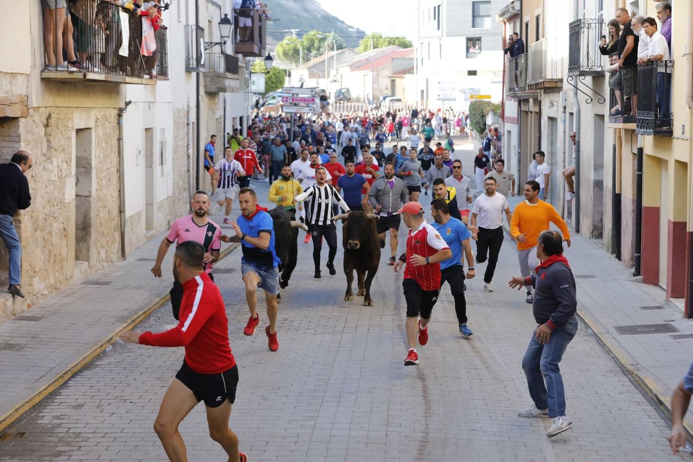 Fotos: Cuarto y último encierro de las fiestas de Peñafiel