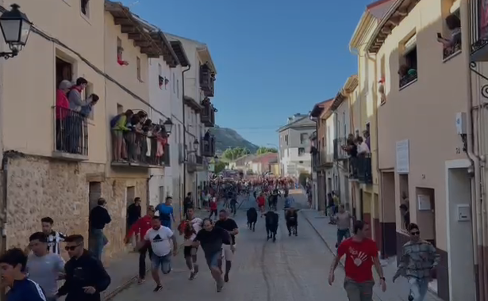 Último encierro de las fiestas de Peñafiel