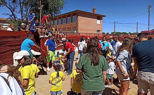 Encierro de minibueyes en Torrelobatón 