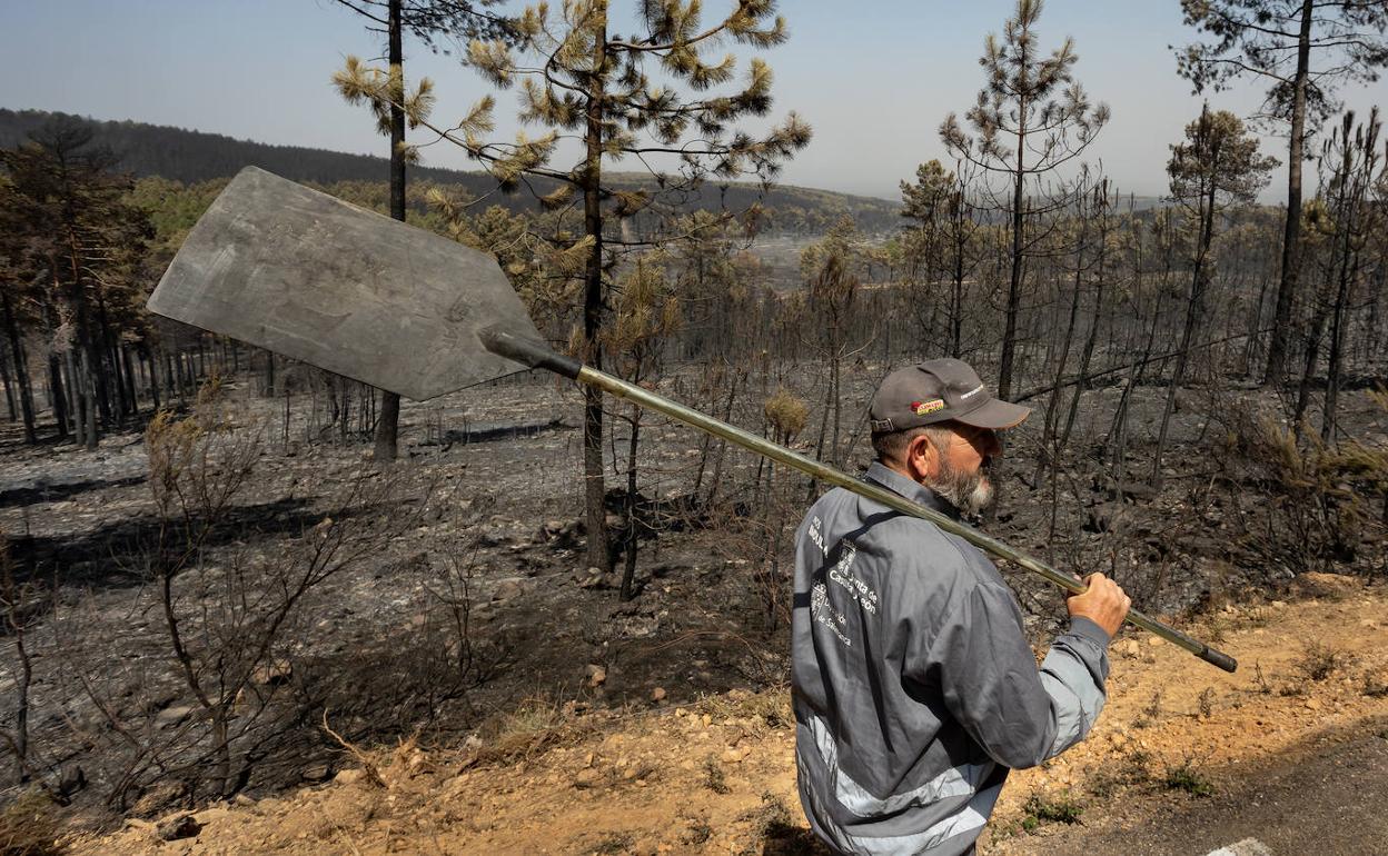 Un voluntario observa la superficie arrasada por el fuego en la zona de El Maillo(Salamanca).