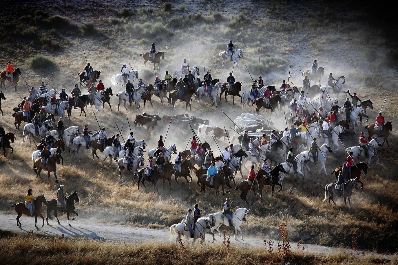 Arrancan los encierros de Cuéllar y Medina del Campo