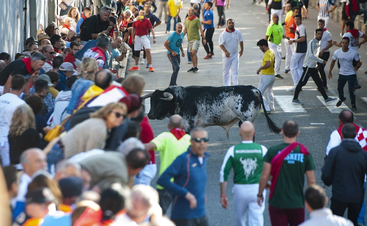 Decenas de personas, durante los encierros de Cuéllar.