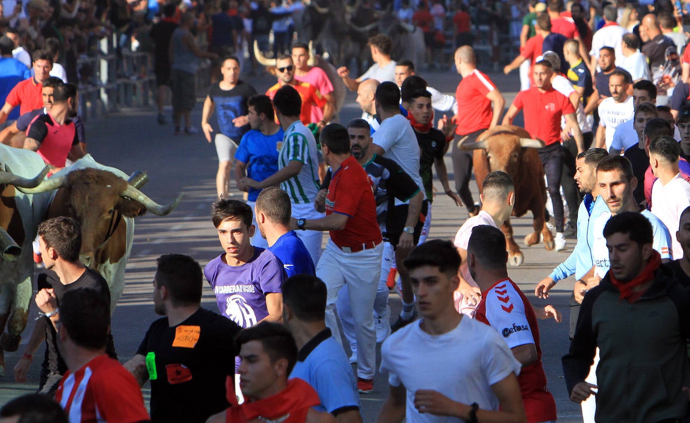 Encierro por las calles de Cuéllar.