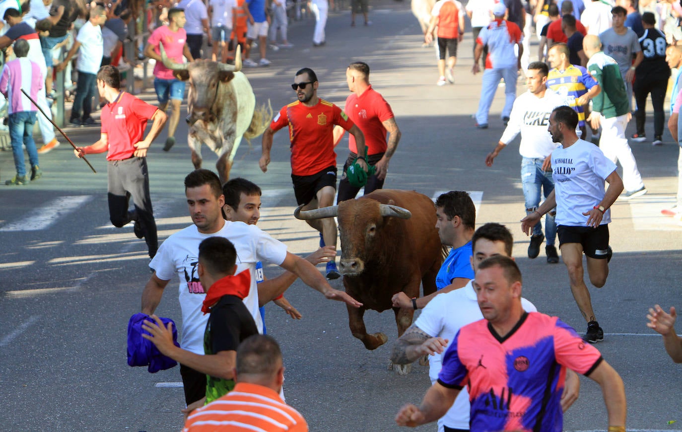 Encierro por las calles de Cuéllar.