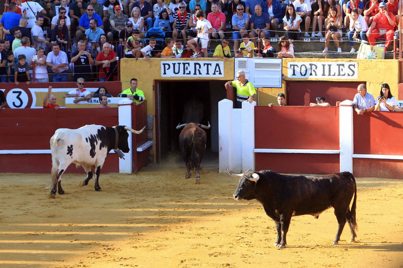 Galería. Primer encierro de las fiestas de Cuéllar.