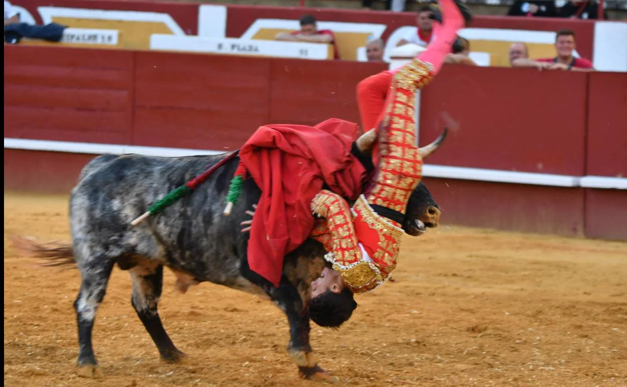 Grave cogida en el muslo al torero Manuel Diosleguarde en Cuéllar | El  Norte de Castilla