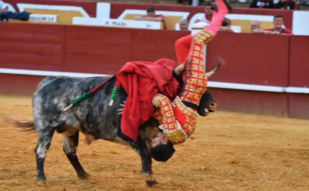 El torero Manuel Diosleguarde sufre una grave cornada en el muslo en la corrida de Cuéllar