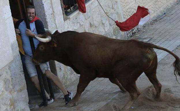 «Al toro que me cogió le faltaban  cuatro centímetros de pitón y eso me salvó»