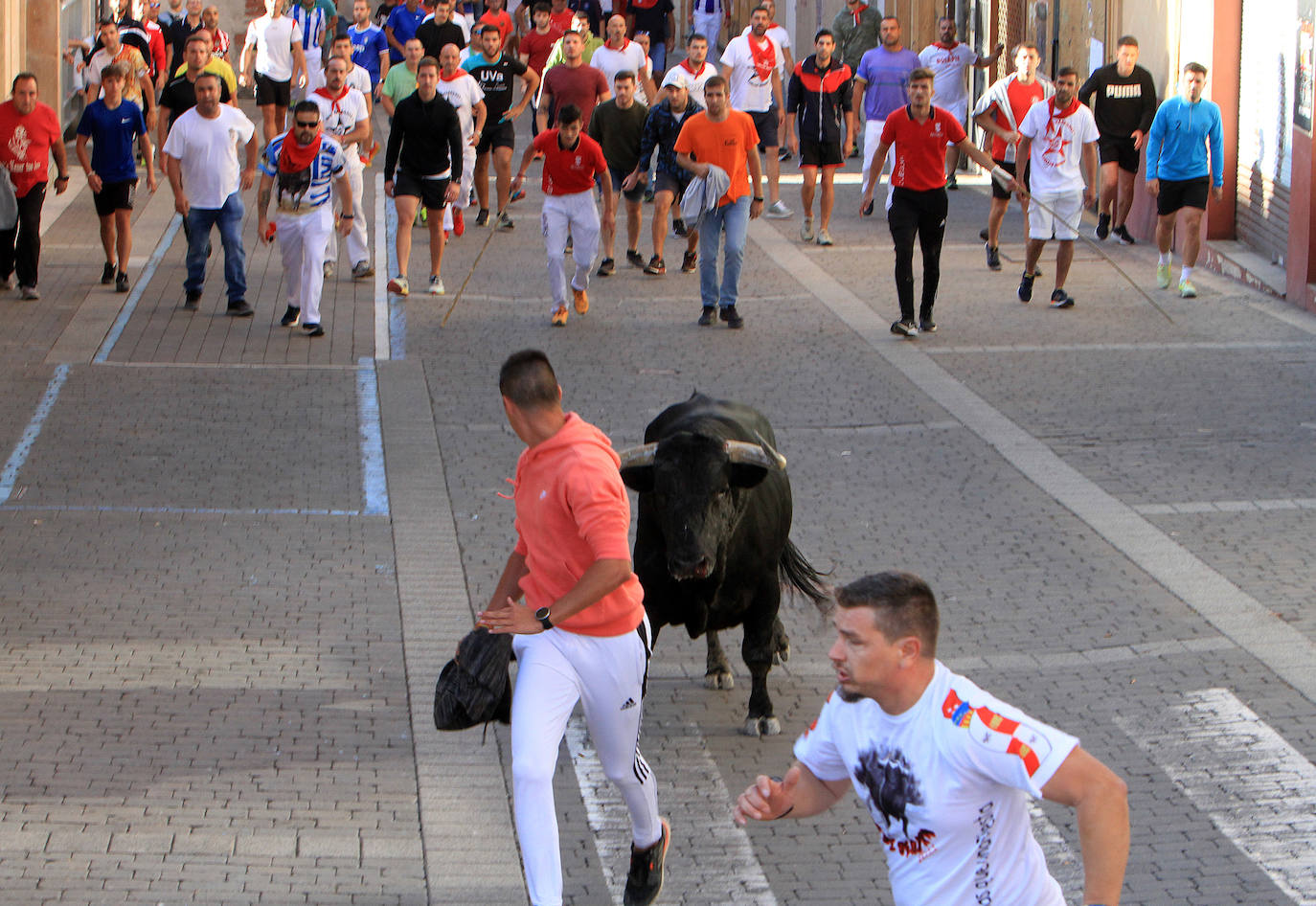 Encierro del martes en las fiestas de Cuéllar.