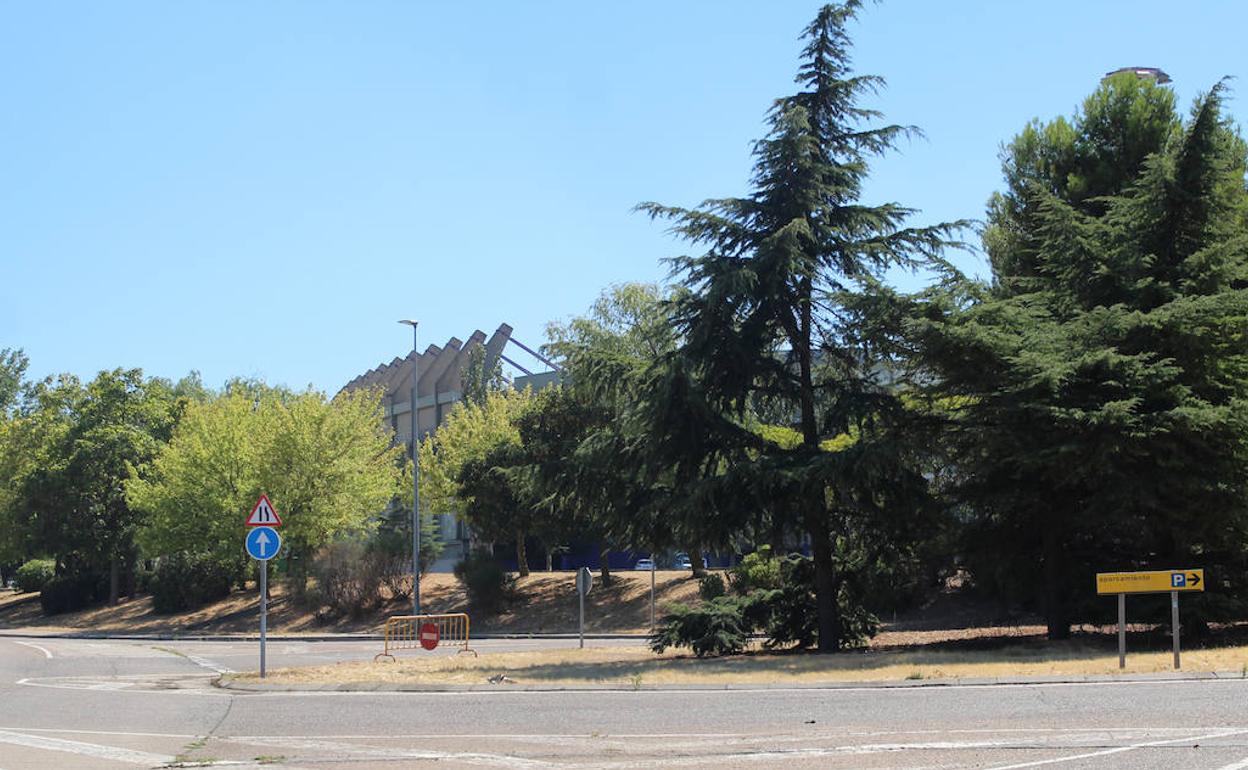 El Ayuntamiento intervendrá en todo el perímetro del estadio, en la franja que da a la avenida Mundial 82.