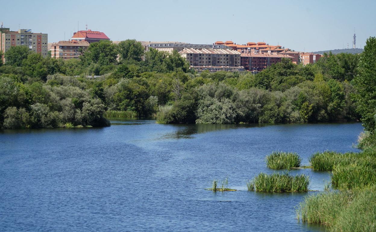 El río Tormes, a su paso por Salamanca 