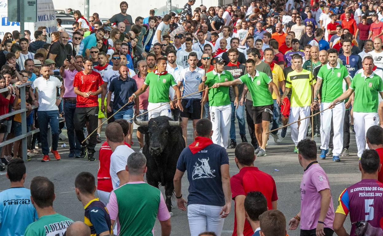 Manolas, encierros y sacristías
