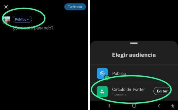 Selecciona si prefieres que tu tuit sea visto por todos o por los usuarios incluidos en la lista del Círculo de Twitter.