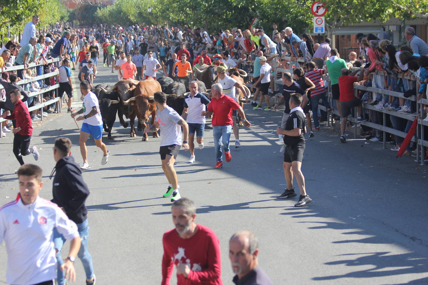 Fotos: Primer encierro de las Fiestas de Medina del Campo (2/2)