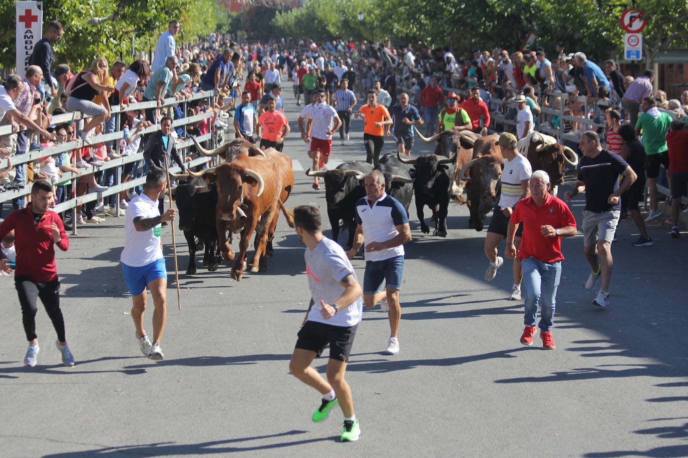 Fotos: Primer encierro de las Fiestas de Medina del Campo (2/2)