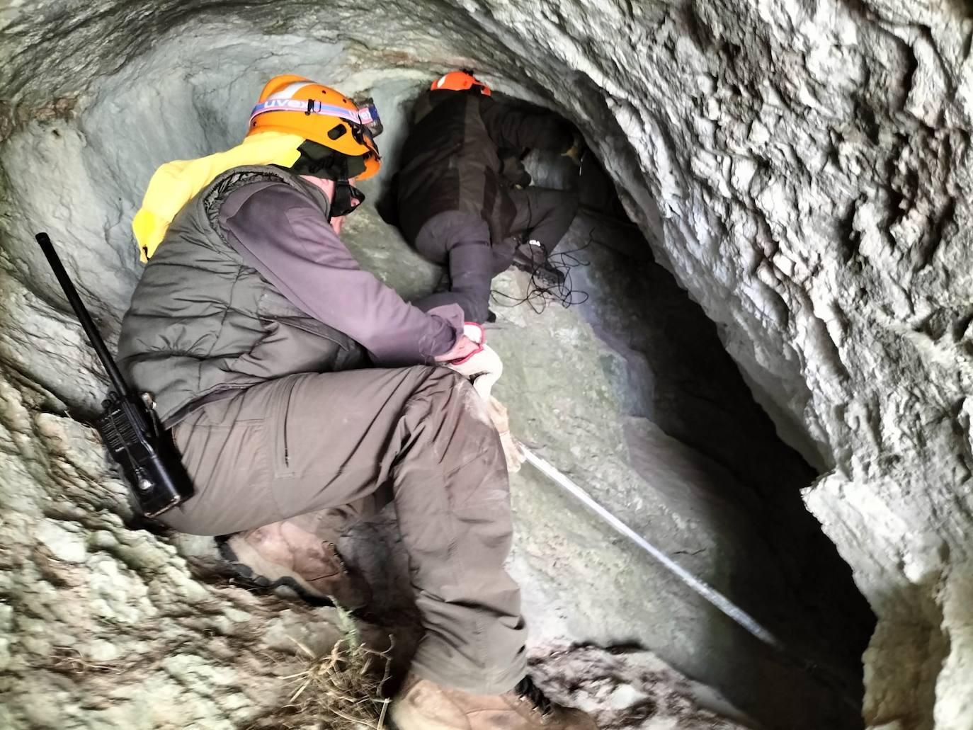 Imagen. Así fueron los cuidados a la osa tras el ataque en la Montaña Palentina 