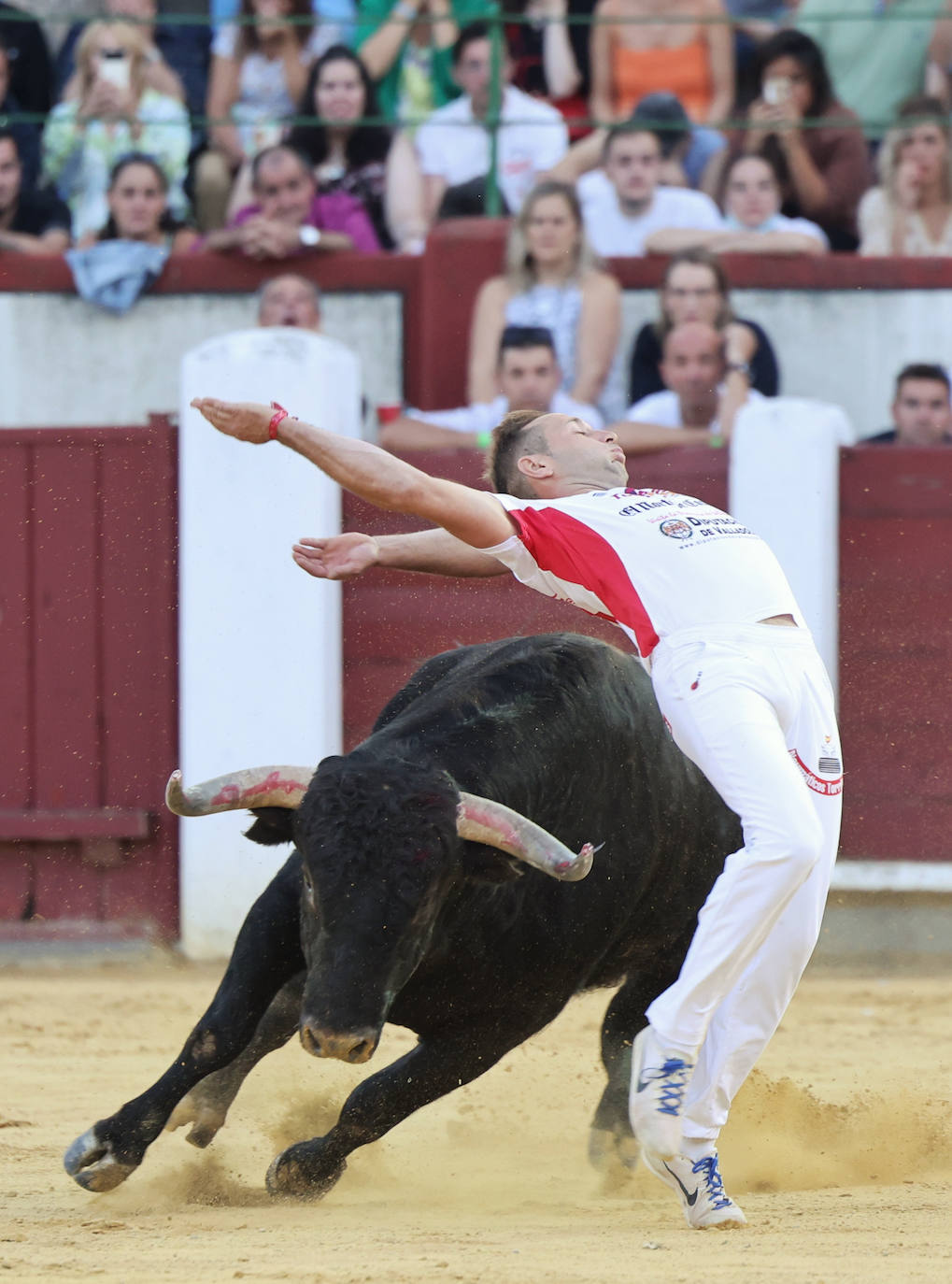 Fotos: La final de Corte Puro, en la plaza de toros de Valladolid