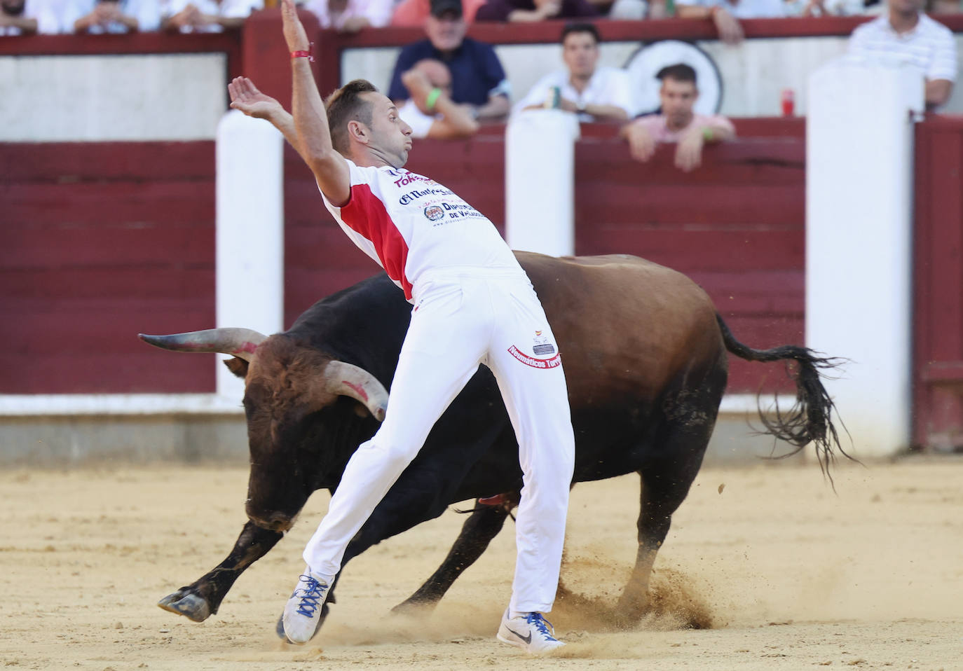 Fotos: La final de Corte Puro, en la plaza de toros de Valladolid