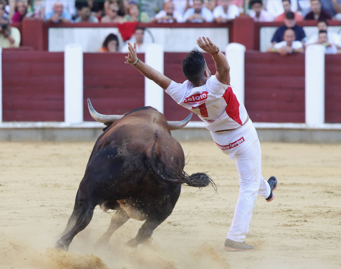 Fotos: La final de Corte Puro, en la plaza de toros de Valladolid