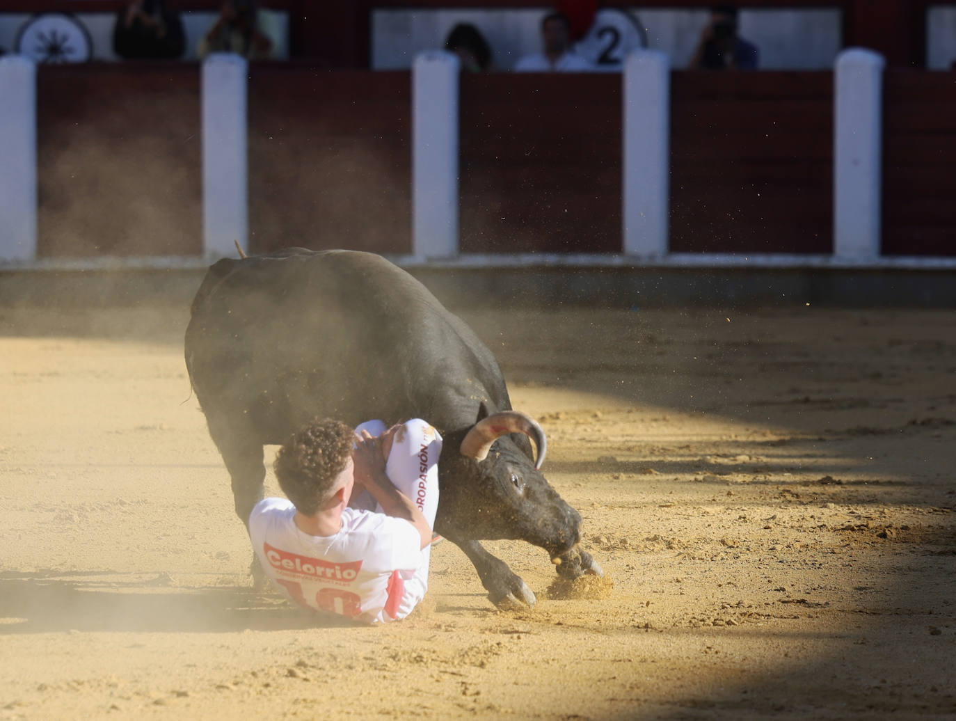 Fotos: La final de Corte Puro, en la plaza de toros de Valladolid