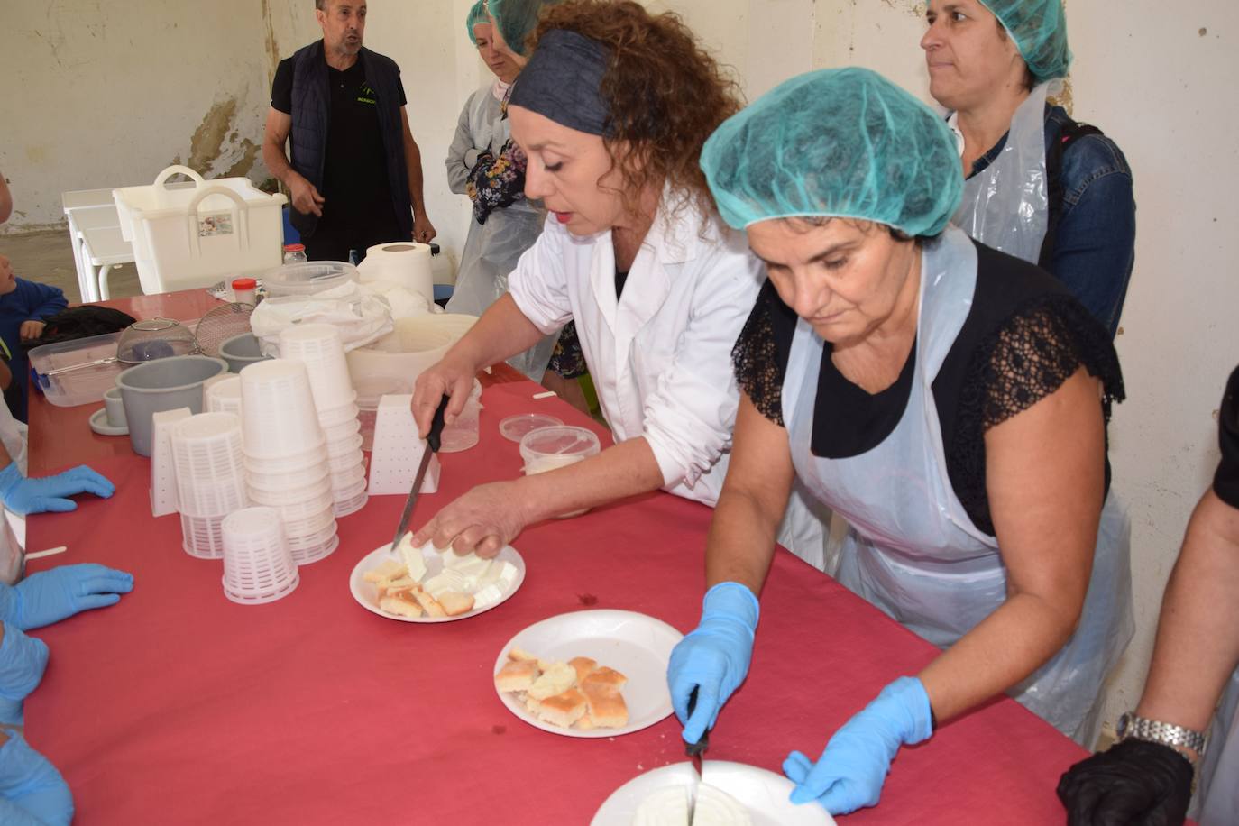 Fotos: Romería del Cristo en Guardo