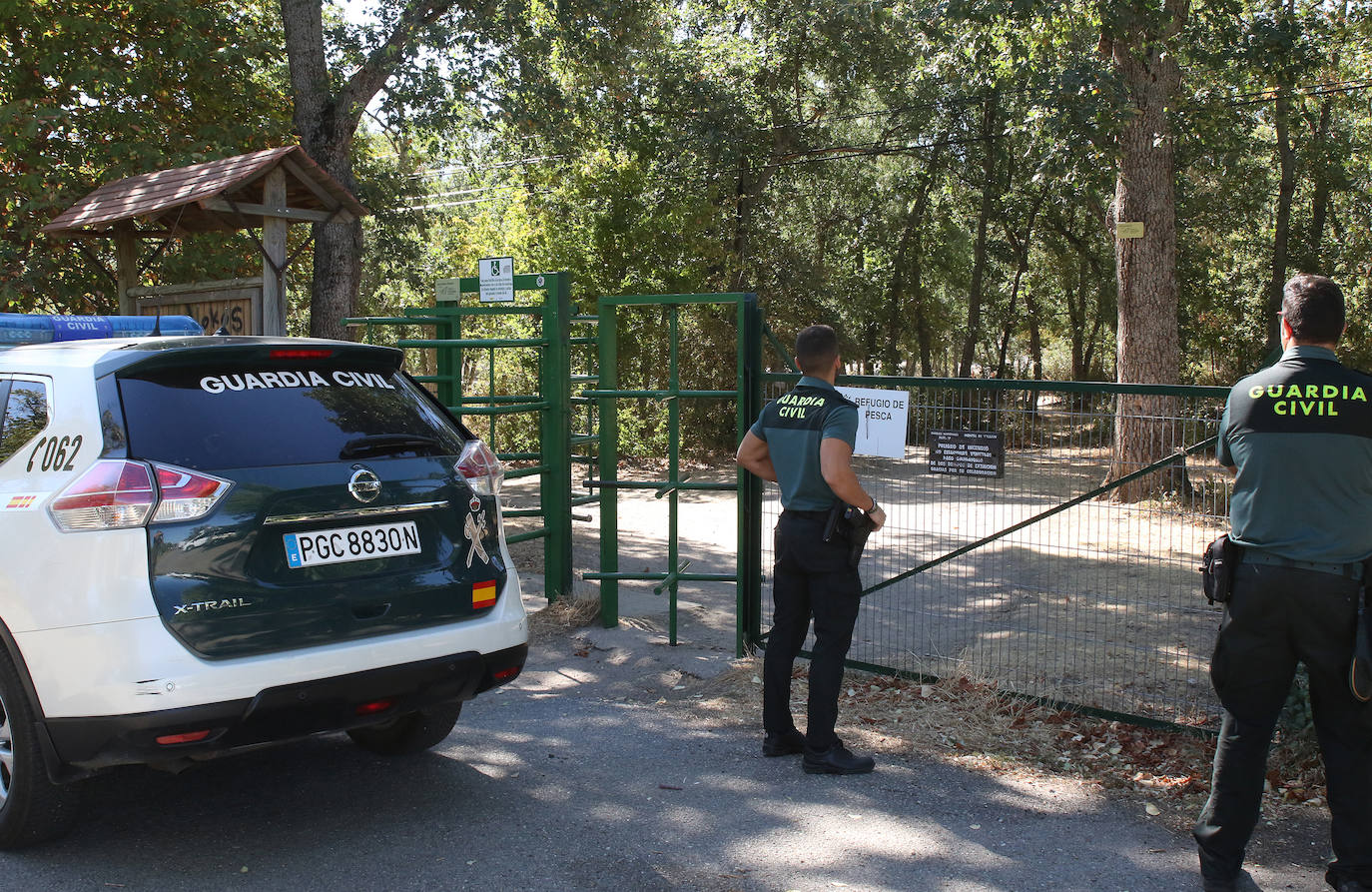 Búsqueda del toro desaparecido en los encierros de Valsaín