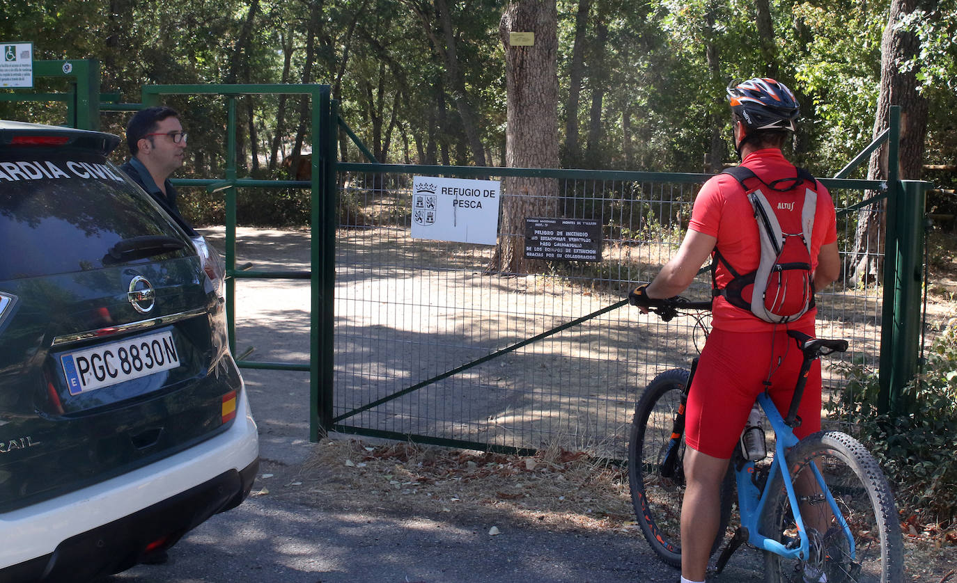 Búsqueda del toro desaparecido en los encierros de Valsaín