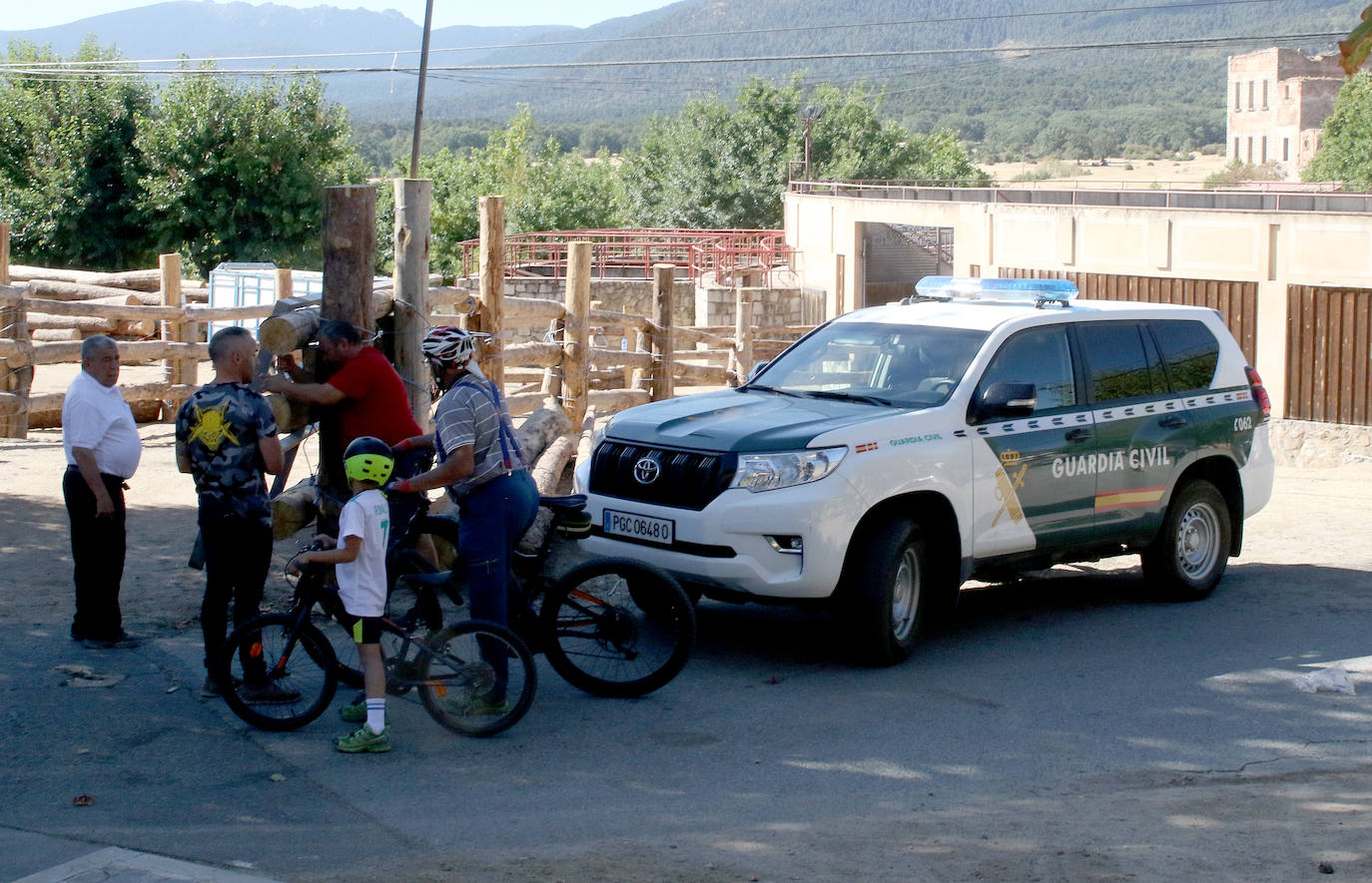 Búsqueda del toro desaparecido en los encierros de Valsaín