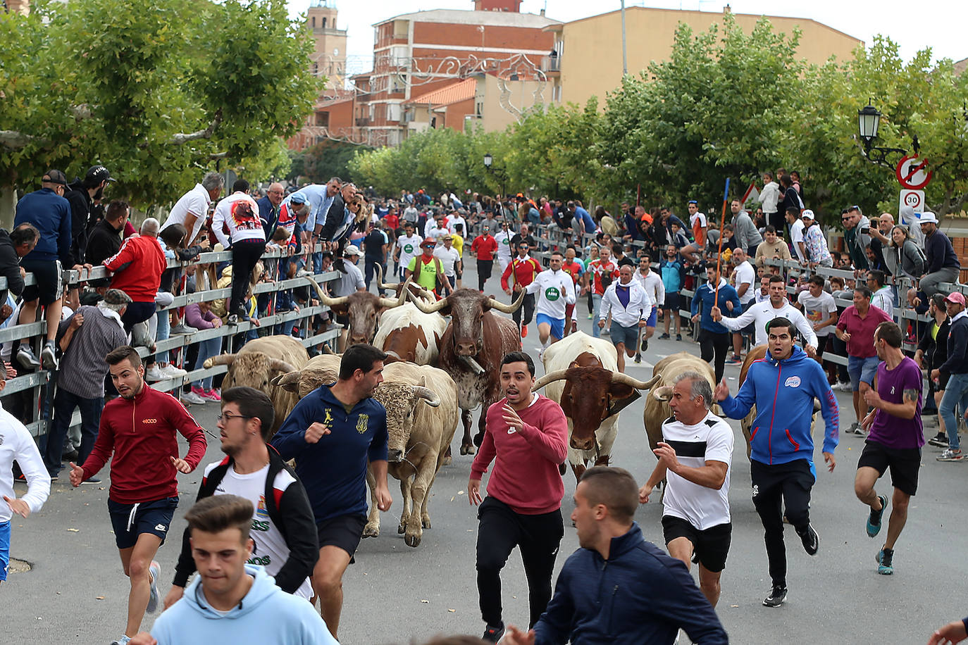 Fotos: Tercer encierro en las fiestas de San Antolín de Medina del Campo