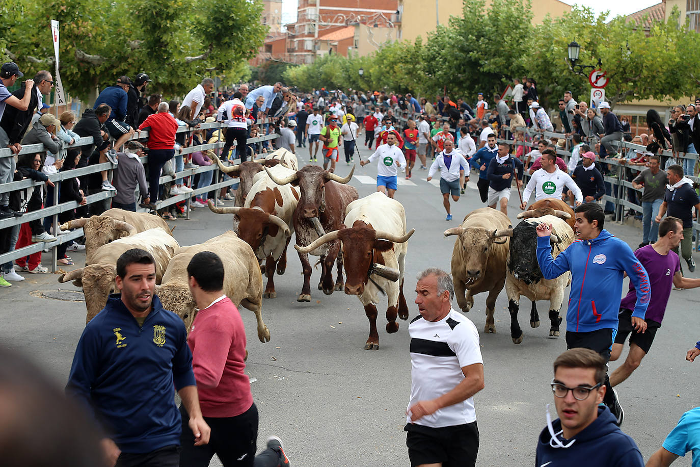 Fotos: Tercer encierro en las fiestas de San Antolín de Medina del Campo