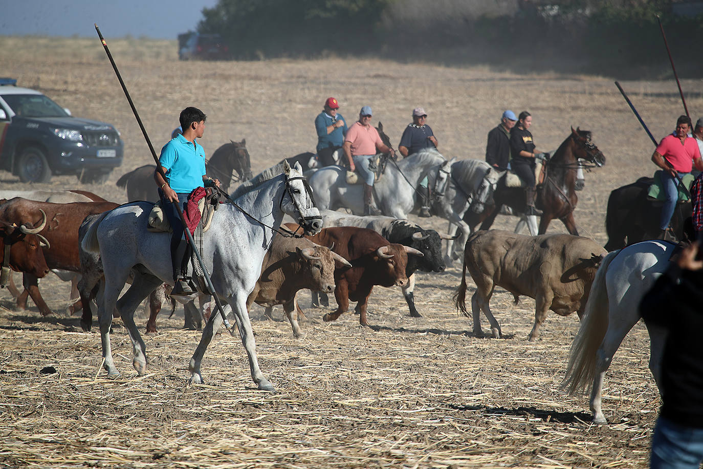 Fotos: Tercer encierro en las fiestas de San Antolín de Medina del Campo