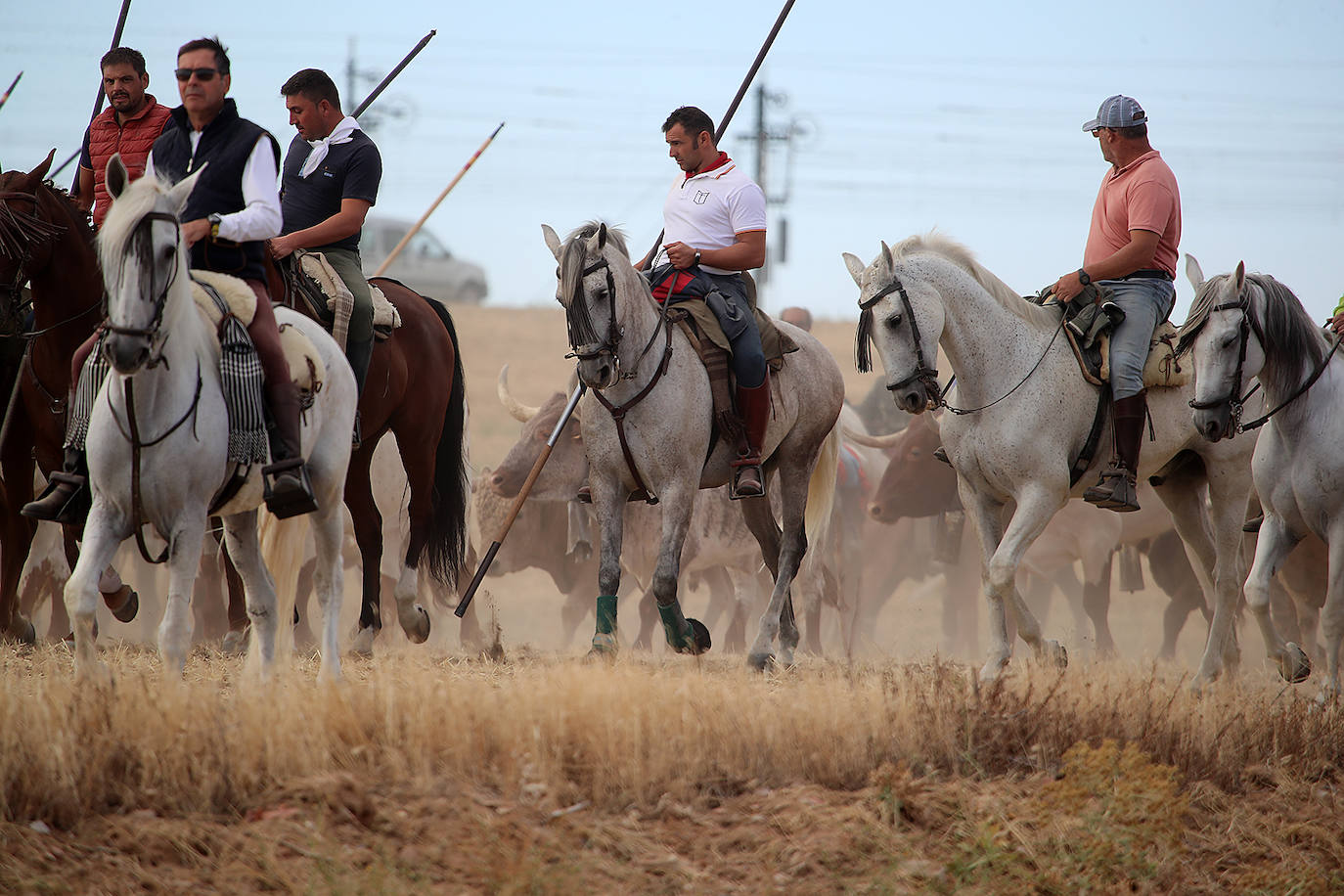 Fotos: Tercer encierro en las fiestas de San Antolín de Medina del Campo