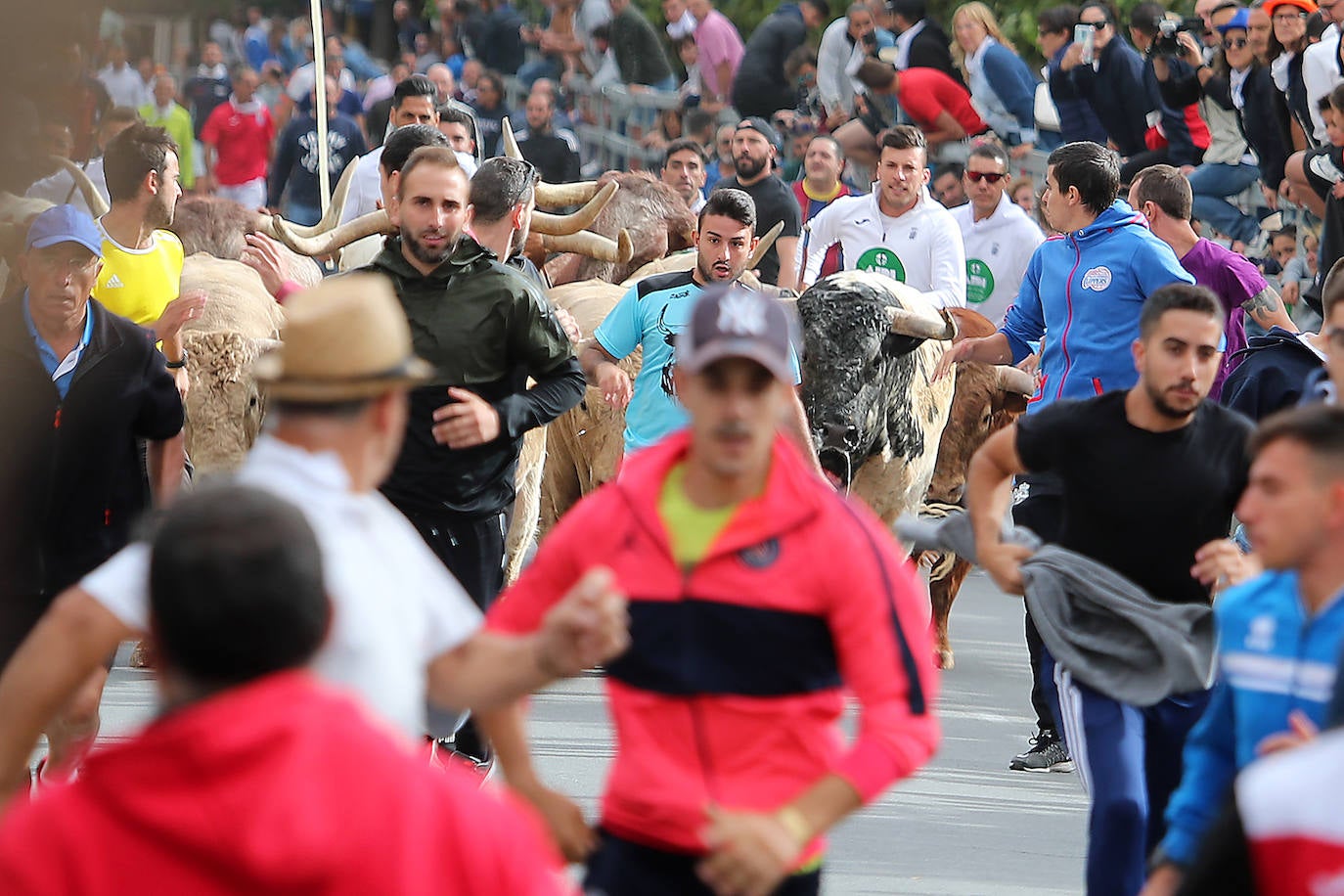 Fotos: Tercer encierro en las fiestas de San Antolín de Medina del Campo