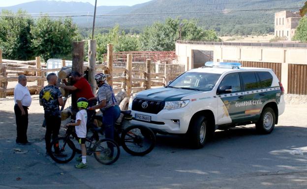 Sigue la búsqueda: sin noticias del toro desaparecido en Valsaín