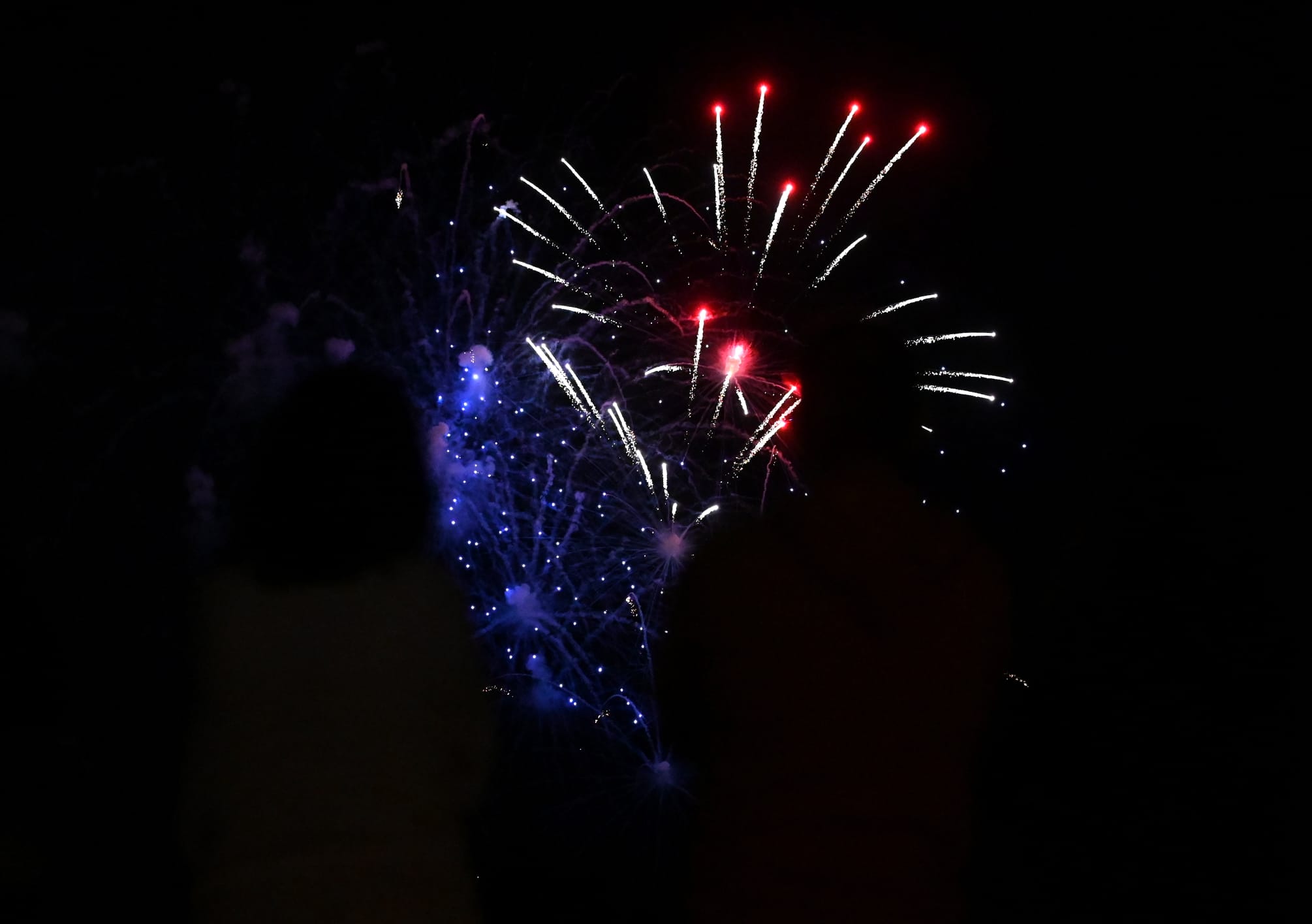 Fotos: Los fuegos artificiales del miécoles, en imágenes