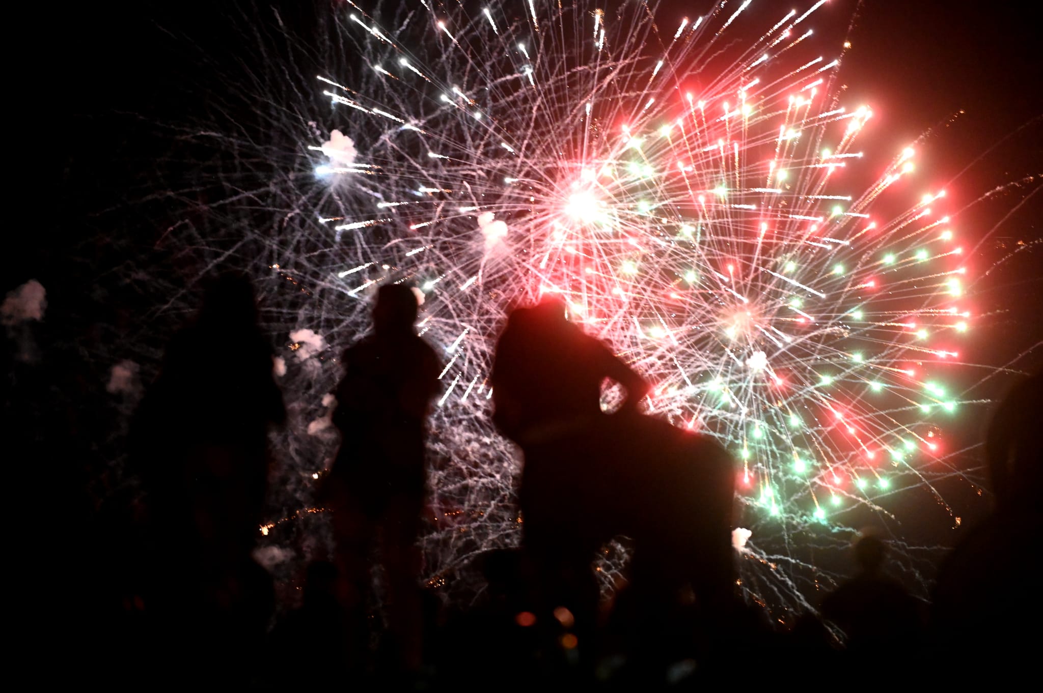 Fotos: Los fuegos artificiales del miécoles, en imágenes